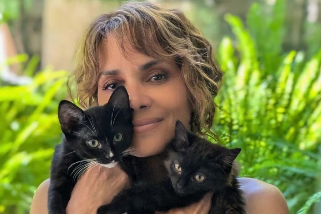 Halle Berry / Instagram